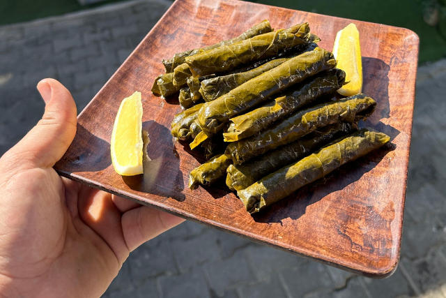 adsız tasarım (89)