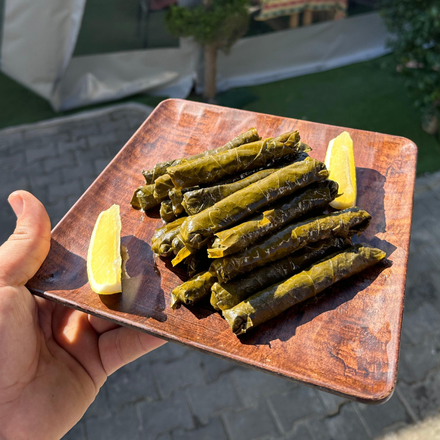 adsız tasarım (95)